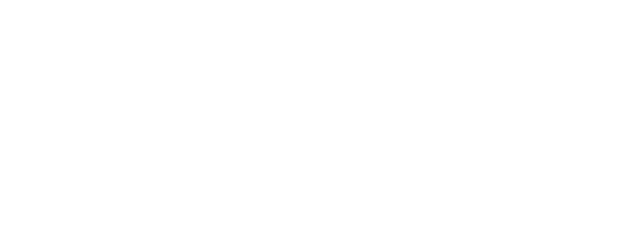 Praxis Aero